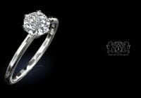 Leon Megé engagement solitaires with a round diamonds r6800 and r6801